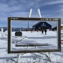 서울왕돈까스도곡점 | 휘닉스 파크 셔틀버스 예약 노선 시간표, 올데이패스권 후기, 리프트권 가격, 장비렌탈, 시설, 슬로프