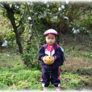 혜민농장 이미지