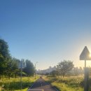 나성동_독락정역사공원 이미지