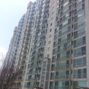 괴정4동-10 이미지