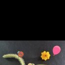 산들바람 이미지