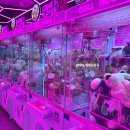 핑키펑키 이미지