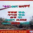 은현피싱타운 Daum카페
