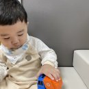 10월 다섯째 주 계획: 원서접수 🌷 앉은 자리가 꽃자리니라.