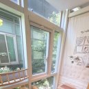 마곡 고양이 미용 호텔 이미지