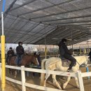 곰두리체육센터 이미지