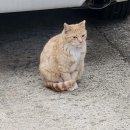 요섭농장 이미지