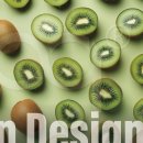 P-6716 | 분독 하네스 신상컬러 키위 착용리뷰