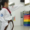 푸르미르 태권도장 이미지