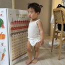 뚱배 | 나비잠 매직소프트 썸머 울트라씬 vs 펨퍼스 통잠 vs 보솜이 액션핏 솔직 후기 (허뚱배뚱 아기 사이즈 팁)