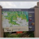 반월천1 Daum카페