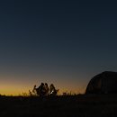 코끼리민박 이미지