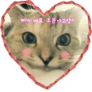 가평역 삼거리 1 이미지