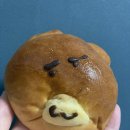 샌도 티스토리
