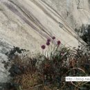 대조동 224-3 이미지