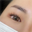예쁜속눈썹
