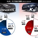 쏘나타·K5가 르노삼성 SM6에 졌다…&#39;7개의 심장&#39; 어디로? 이미지