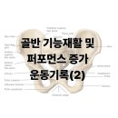 좋음PT | 대구 반야월 헬스장 PT 후기 – 골반 기능 재활 20대 남자 회원 맞춤 운동 기록 (2)