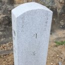 순천-32호 이미지