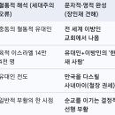 두 감람나무와 두 촛대가 144,000인 이유 이미지