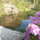 구수골로 이미지