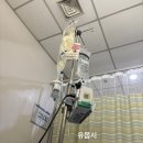 세븐일레븐 아주대병원점 | 아주대병원 입원후기 | 쌍둥이 제왕절개 3박4일 |페인버스터 단점