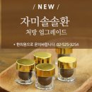 자미 이미지