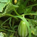 도심어부 이미지