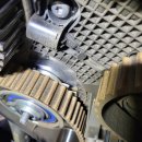 팀모터스 이미지