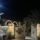 사하라관광호텔 | 🇪🇬이집트 자유여행 3편-시와, 만수르와 똥물호수, 판타롯지