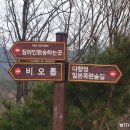 구재봉자연휴양림 이미지