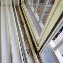 다인로얄팰리스배곧9차(배곧로얄팰리스9차) | [시흥 배곧 로얄팰리스] 배곧 로얄팰리스9차 복층 이사청소