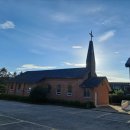 대관령 하루 이미지