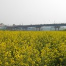 전통식당사랑채 이미지