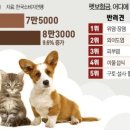 월 이미지