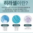 비앤씨피부과의원 이미지