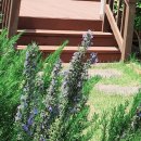 로즈마리민박 이미지