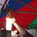 도너츠세상 티스토리