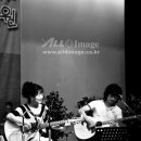 배따라기 이미지