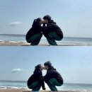 쭈니와비니 이미지