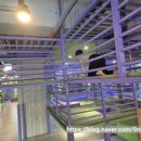 점핑몬스터 지축점 이미지