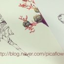 피카앤코