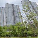 양동초교 | 부산 연산 롯데캐슬골드포레 vs 연제 롯데캐슬데시앙, 어디가 좋을까?