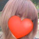 허브지노 이미지