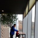 똥강아지몰