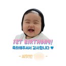 블루텍에너지 | 돌끝맘 (5) 소규모 돌잔치 답례품, 포스터, 덕담카드, 어린이집 답례품 : 별하당, 메르시앤로이, cdefg...