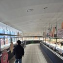 신전떡볶이 | 대구 아이랑 가볼만한곳 신전뮤지엄 겨울 실내체험 입장료 신전떡볶이 체험 후기