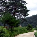 왕피천관광농원 이미지