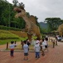 박애어린이집 이미지