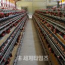 남용농장 이미지